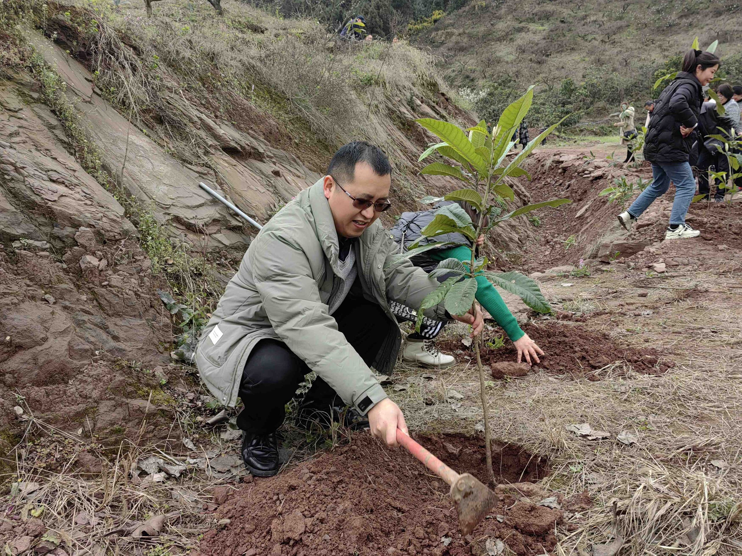 地下空间院植树运动3 地下空间院植树运动3