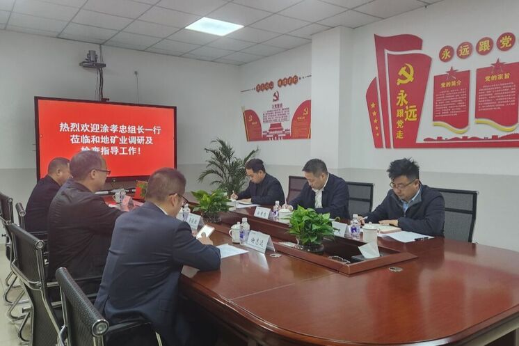 强化党建引领 深化制度建设 推动高质量生长——省自然Z6尊龙凯时投资集团向导赴和地矿业开展专题调研