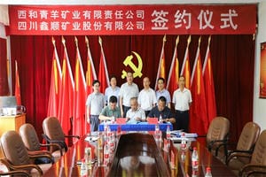 鑫顺矿业乐成控股西和青羊矿业