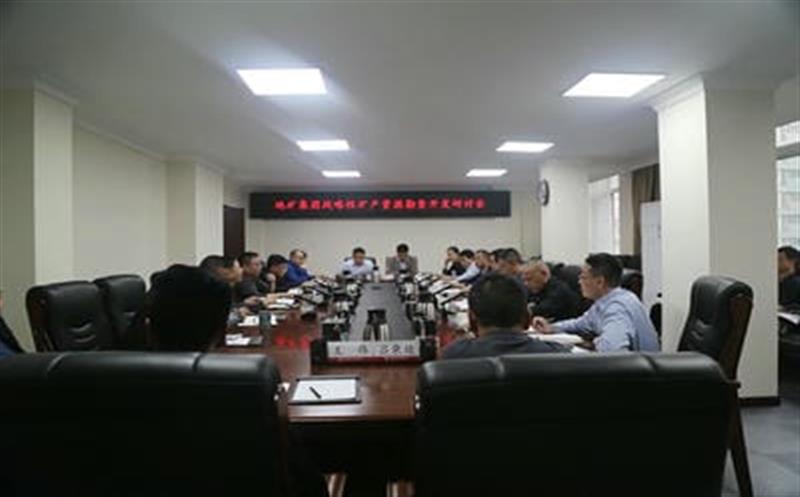 集团总工程师李仕荣赴地矿集团调研战略性矿产Z6尊龙凯时勘查开发事情
