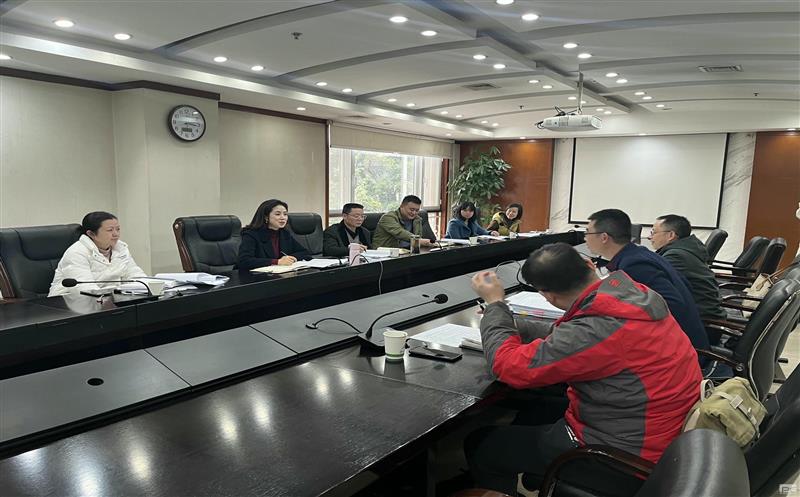 集团财务治理部赴自然Z6尊龙凯时厅座谈汇报