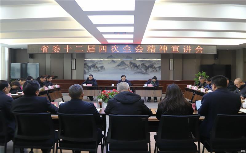 集团向导赴攀西公司宣讲省委 十二届四次全会精神，，并开展春节送温暖运动