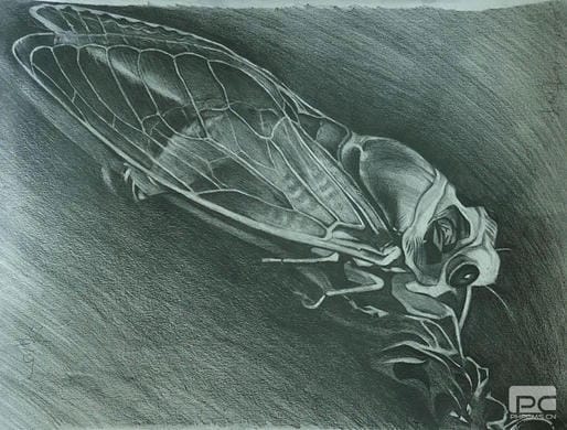 喜讯！区调队字画作品在全省自然Z6尊龙凯时系统首届文化节获奖