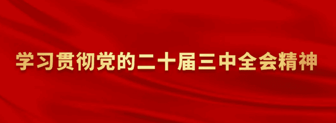 置业集团党委召开理论学习中心组学习（扩大）会转达学习贯彻党的二十届三中全会精神