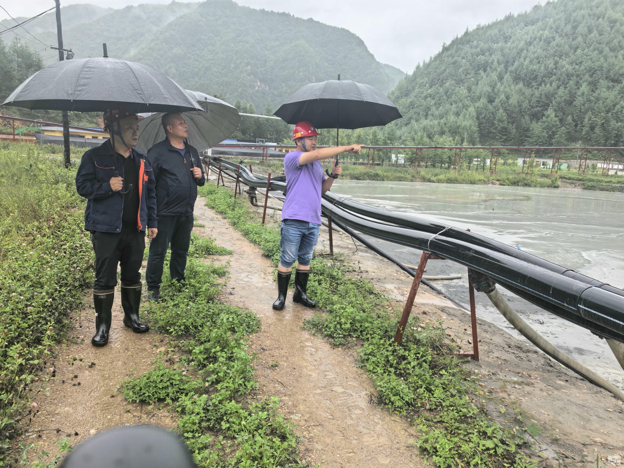 Z6·尊龙凯时「中国区」官方网站