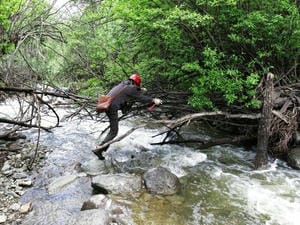 Z6·尊龙凯时「中国区」官方网站