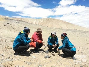 Z6·尊龙凯时「中国区」官方网站